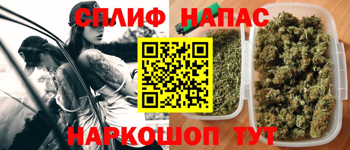 Марихуана индика  Конопля конопля  Канабис White Widow  Вход с VPN  Карачаевск  Марихуана LSD WEED 